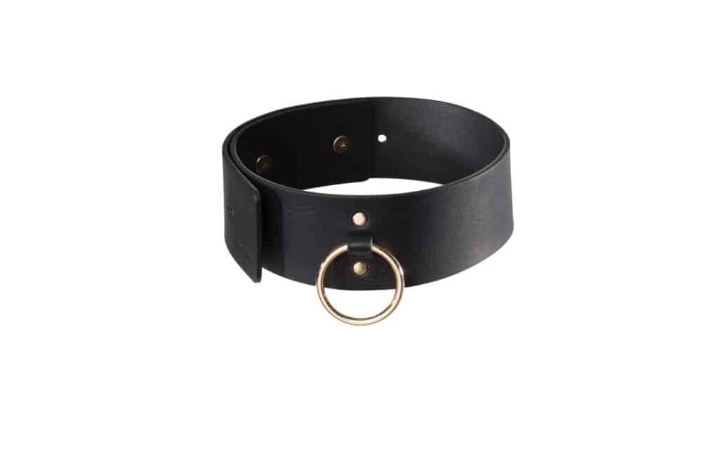 0207 Maze Wide Choker with Leash 2 LR copie